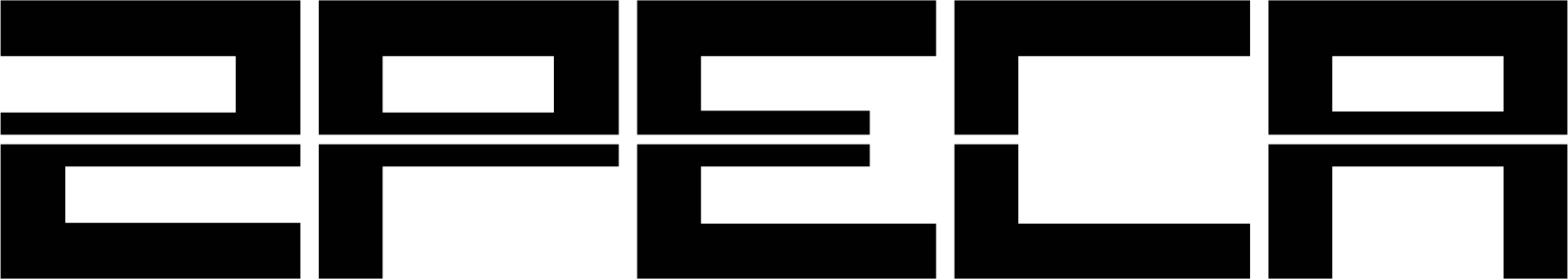 LOGO 2PECA
